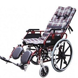 1811特製輪椅/躺式輪椅